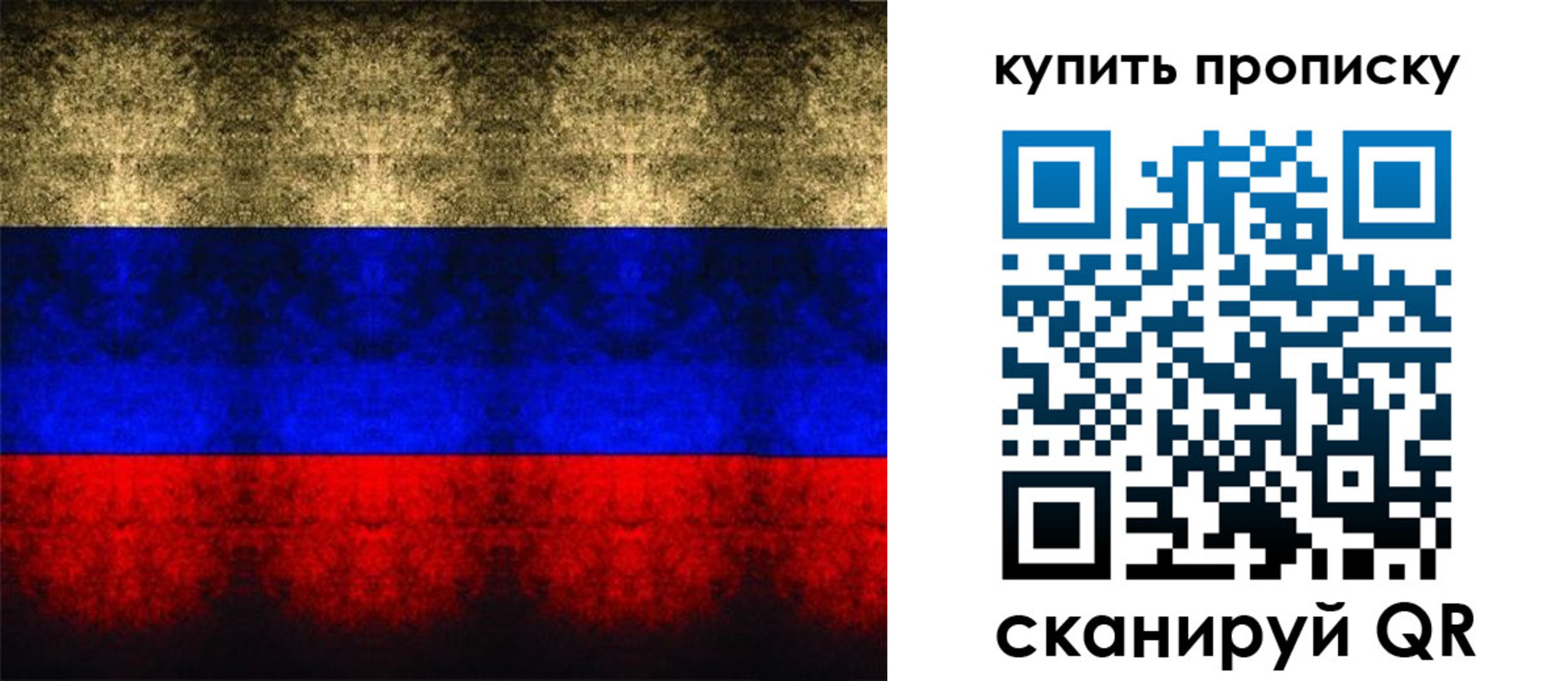 прописка в Александрове
